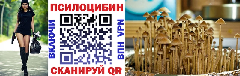 Галлюциногенные грибы Magic Shrooms  где найти наркотики  МЕГА маркетплейс  Карасук 